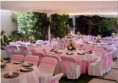 /album/fotogaleria/a1311135427-229937568-7-todo-para-sus-eventos-sociales-en-zona-metropolitana-eventos-masivos-y-locales-jpg/